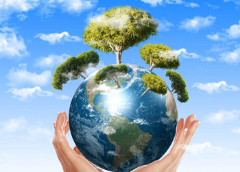 Iberia changes its Corporate Structure to focus on Sustainability