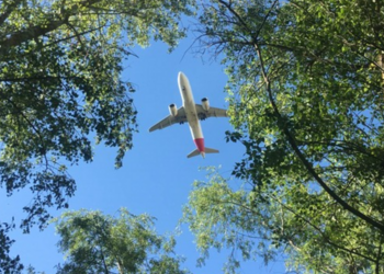 Iberia Supports Two Environmental Projects in Latin America as Part of its Sustainability Strategy