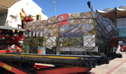 Transporte de flores