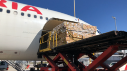 Transporte de flores