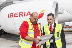 Coordinador y agente de carga