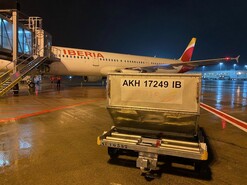 Iberia e IAG Cargo trasnportan más de medio millón de vacunas