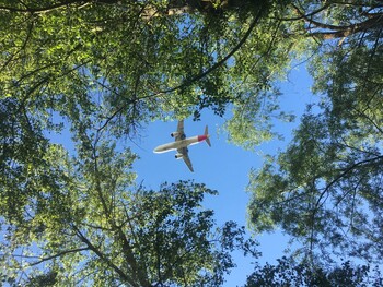 Iberia Marks 94th Anniversary Presenting 2020 Sustainability Report