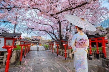 Iberia Strengthens Its Operations in Japan with an Additional Frequency to Tokyo During Cherry Blossom Season 