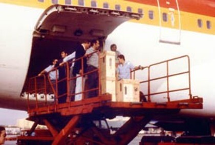 Iberia Cronograma 1981