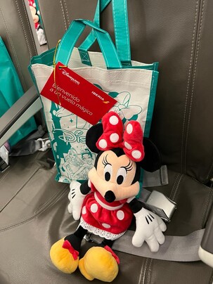 Acción a bordo Iberia-Disneyland Paris