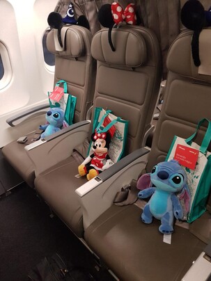 Acción a bordo Iberia-Disneyland Paris