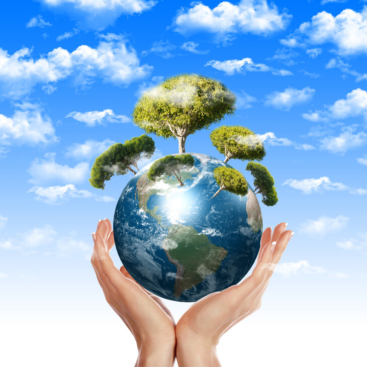 Medioambiente