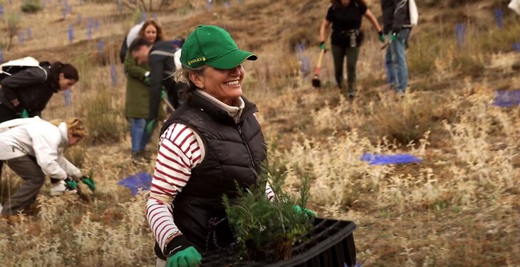 Bosque Iberia 2022